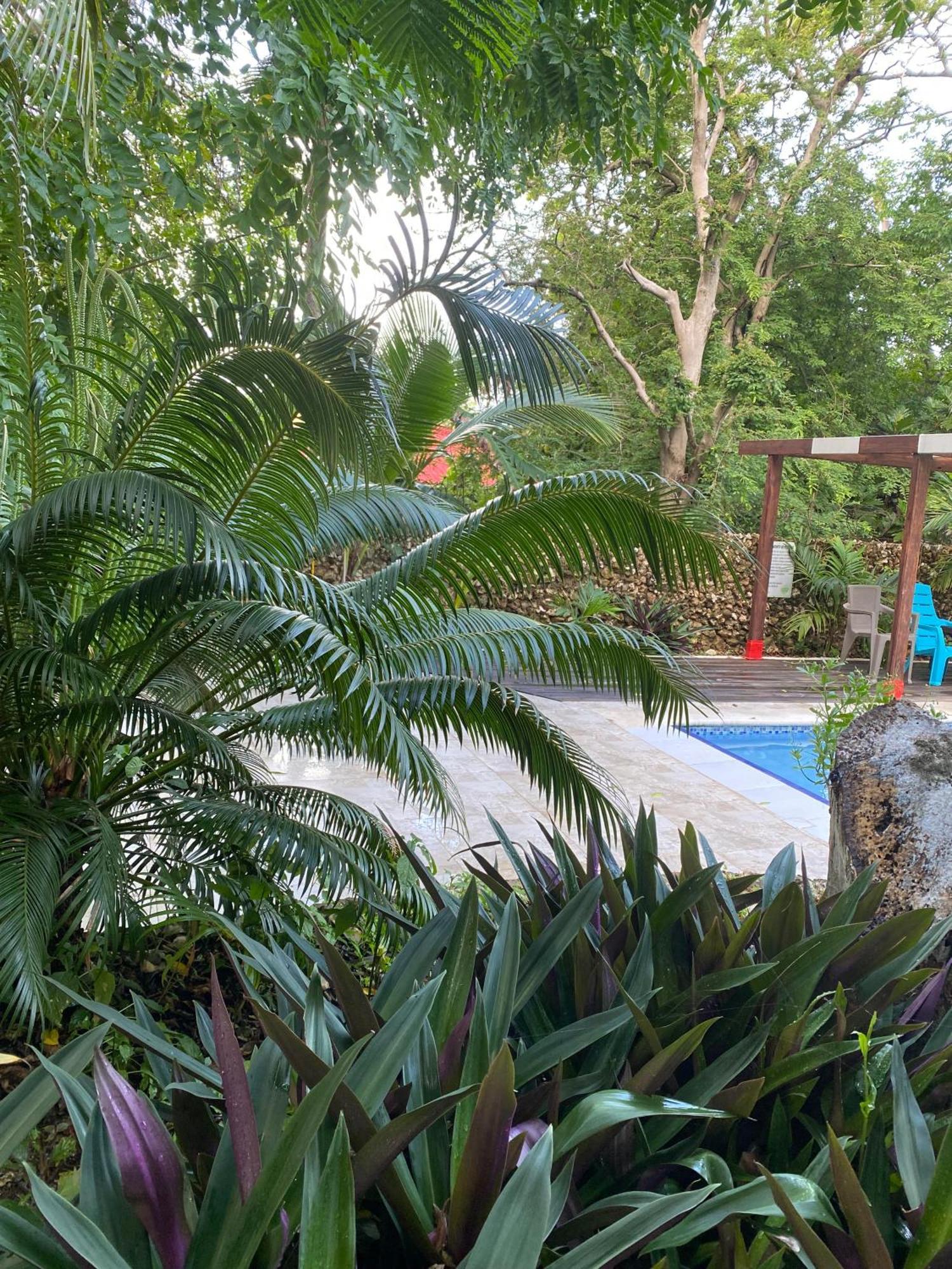 Casona La Carolina Villa San Andres  Exterior photo